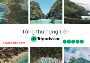 tăng thứ hạng trên TripAdvisor hiệu quả
