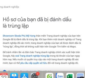 Google map bị trùng lặp