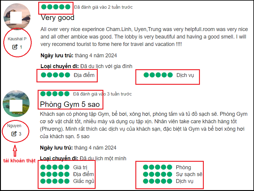 đánh giá 5 sao trên TripAdvisor