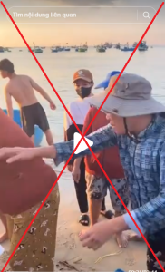 Dịch Vụ Xóa Video TikTok